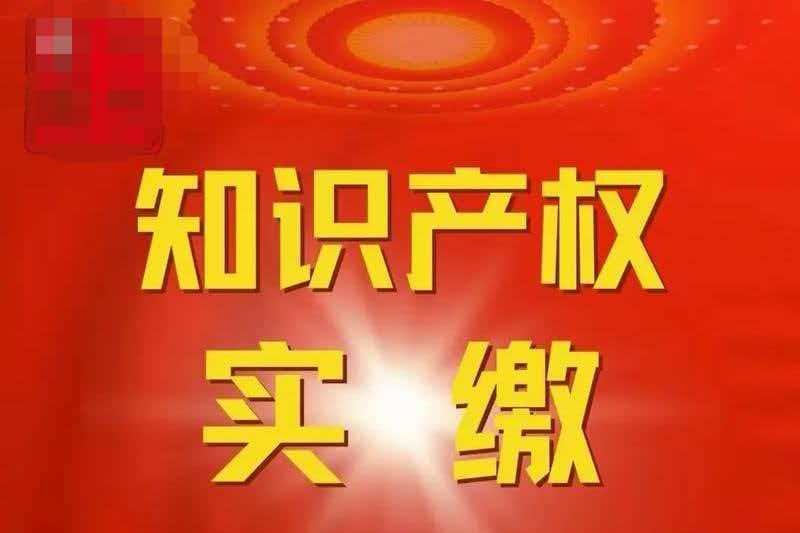 专业铸魂，合规筑信&mdash;&mdash;深耕知识产权实缴注册资本领域5年
